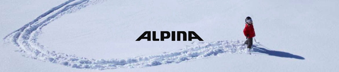 alpina-skihelm-kaufen